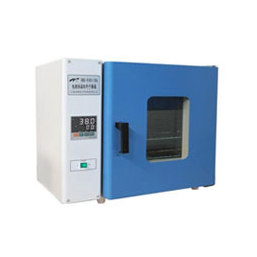 電熱鼓風(fēng)干燥箱